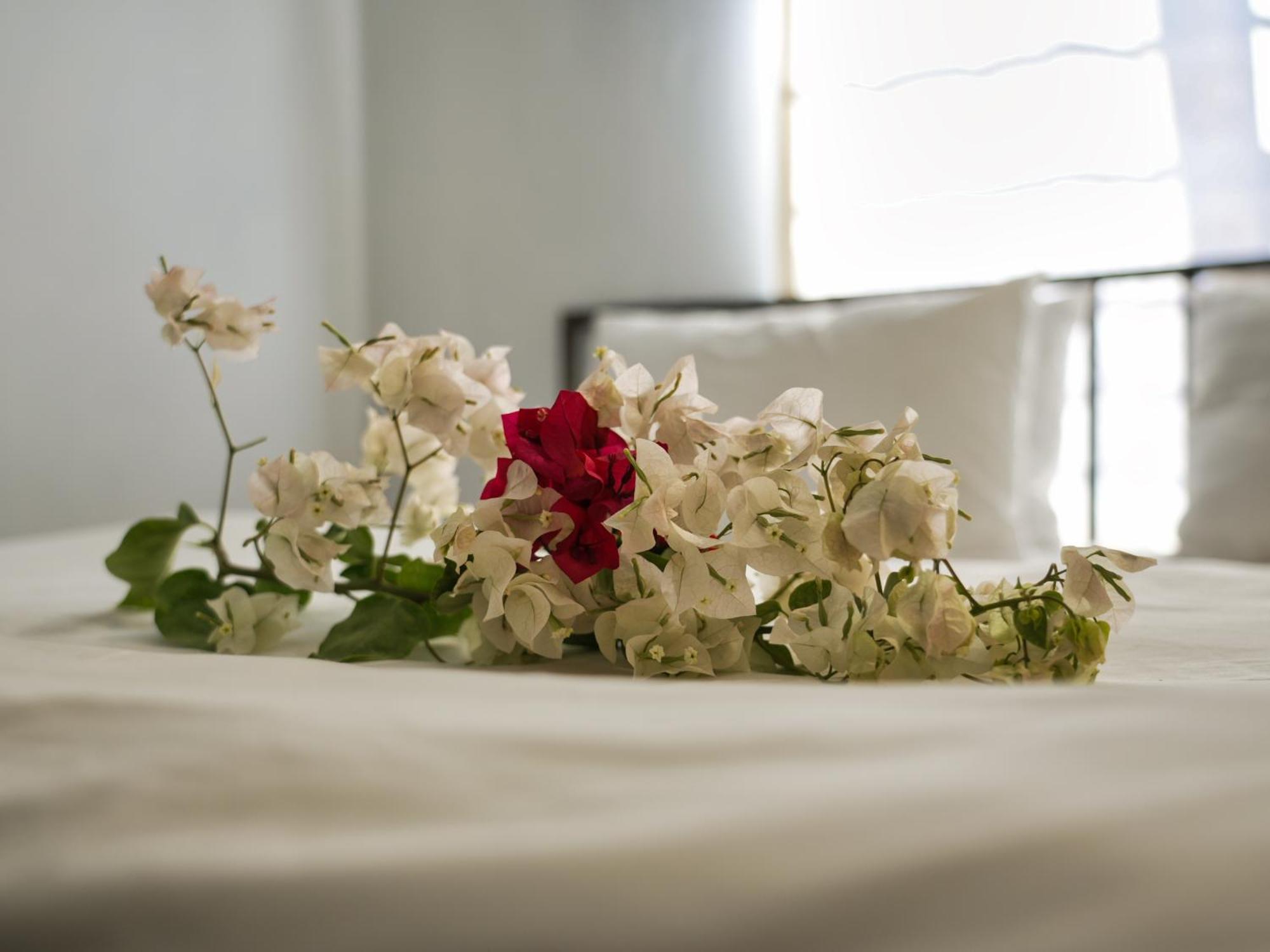 Golentle Home Stay ماون الغرفة الصورة