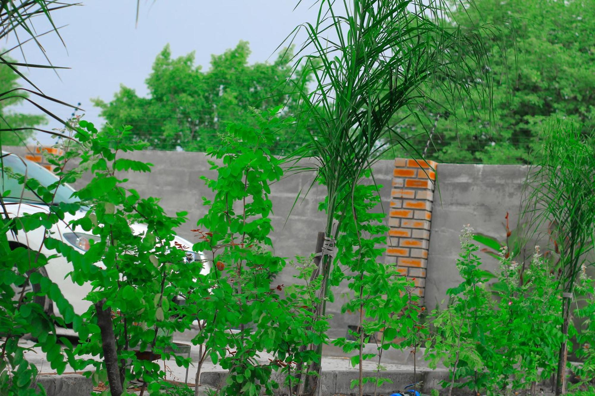 Golentle Home Stay ماون الغرفة الصورة